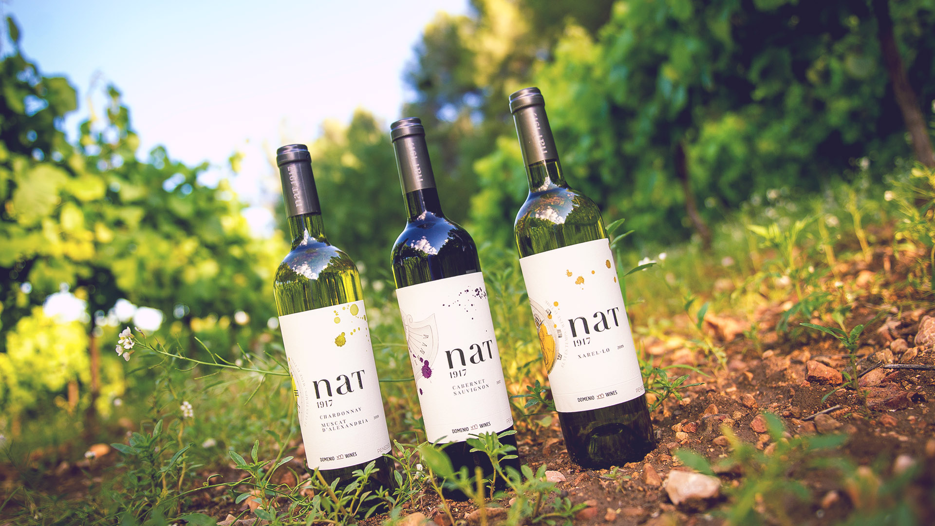 Vinyes Domenio Wines